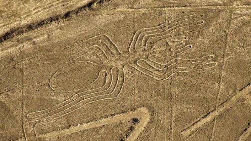 from-nazca-small-plane-flight-over-the-nazca-lines