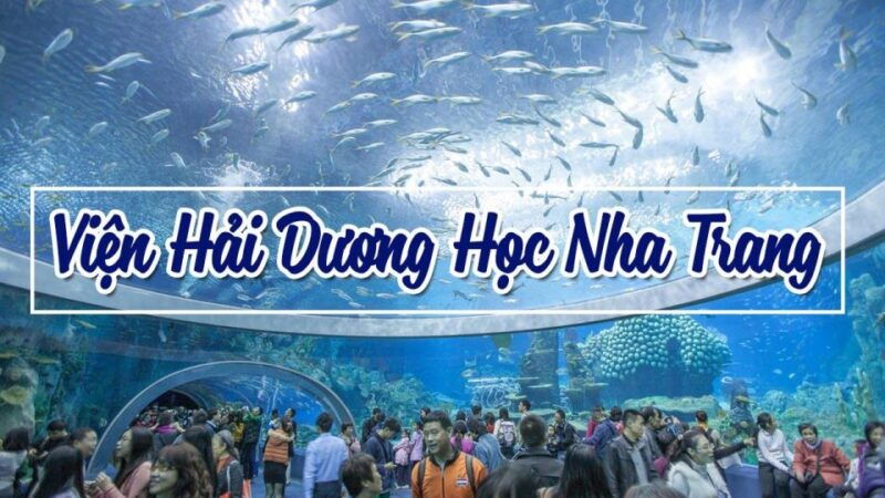 from-nha-trang-top-sight-must-visit-city-tour