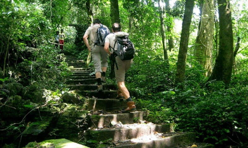 from-ninh-binh-cuc-phuong-national-park-day-trip-with-lunch