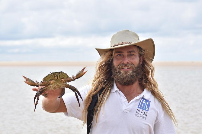 From Noosa: Stand Up Paddle Wildlife & Beach 4X4 Adventure - Key Points
