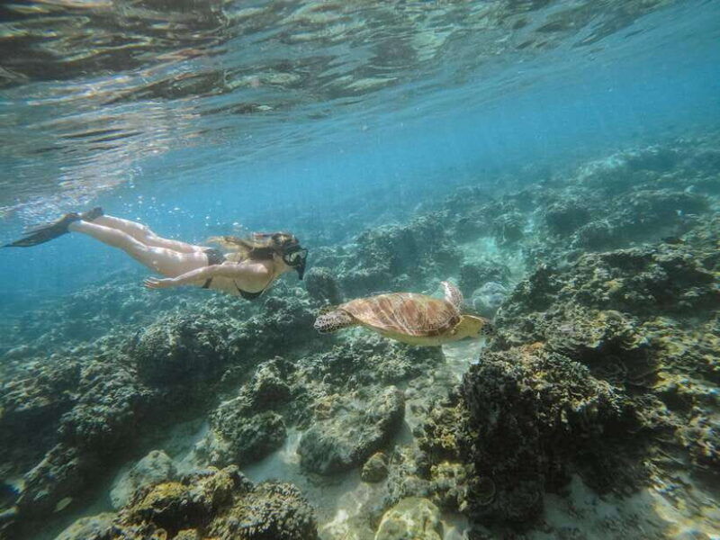 from-nusa-penida-2d1n-gili-islands-private-snorkeling-tour