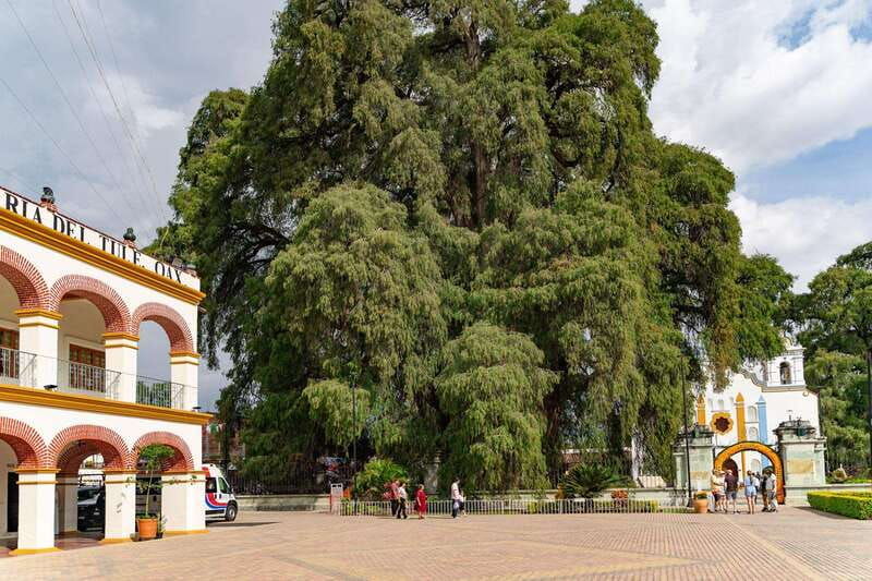 from-oaxaca-city-mitla-and-mezcal-factory-tour