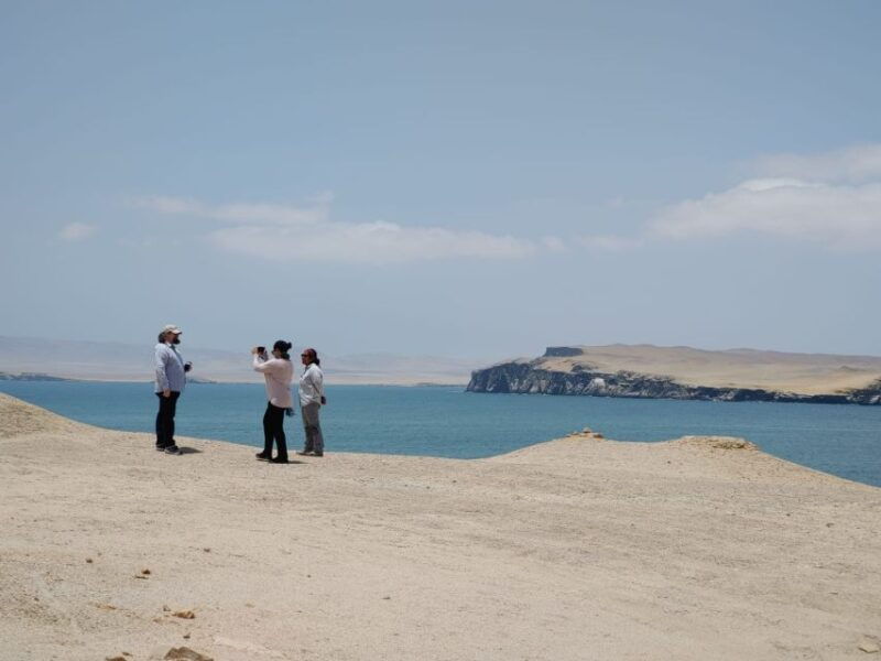 from-paracas-ballestas-island-cruise-paracas-reserve-tour