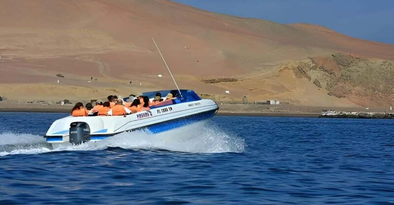 from-paracas-ballestas-islands-and-paracas-national-reserve-3