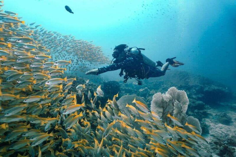 from-phi-phi-beginner-scuba-diving-day-trip-with-2-dives