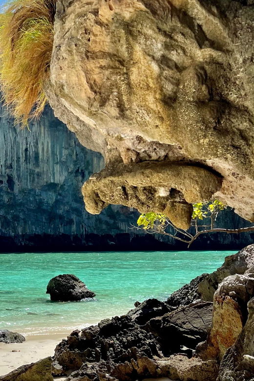 from-phi-phi-maya-bay-longtail-boat-tour