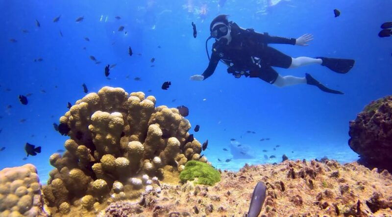 from-phuket-3-day-ssi-padi-open-water-diver-certification