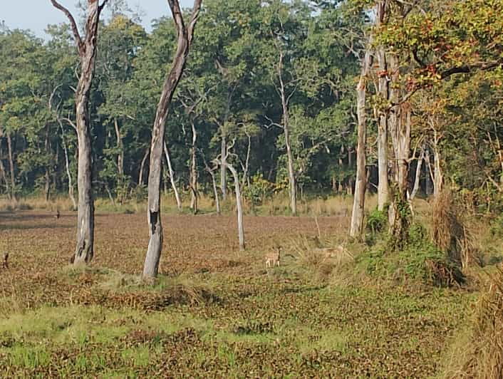 from-pokhara-3-day-2-night-wildlife-chitwan-tour-package