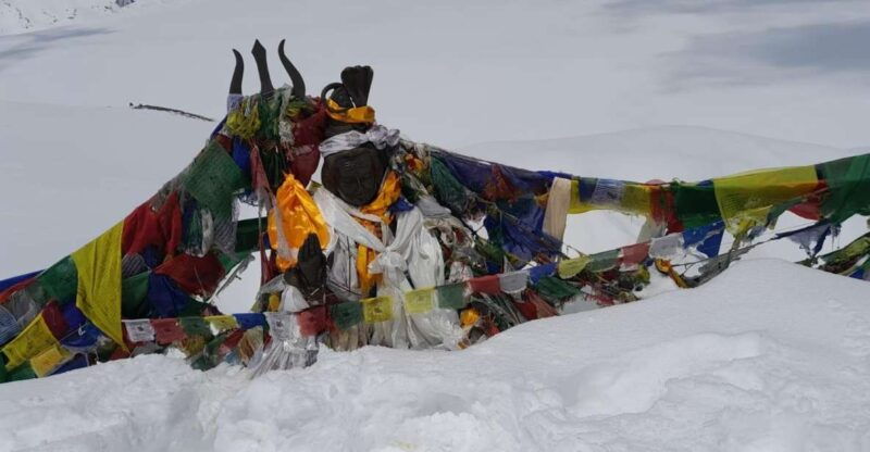 from-pokhara-7-days-annapurna-basecamp-trek