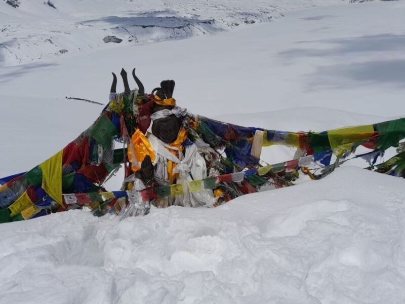 from-pokhara-private-5-day-annapurnabasecamp-trek