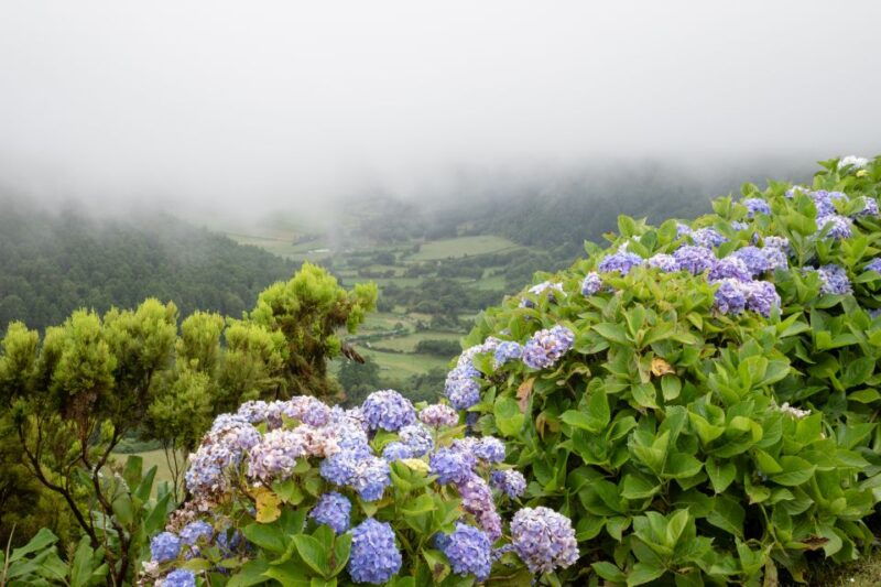 from-ponta-delgada-vista-do-rei-to-sete-cidades-guided-trek