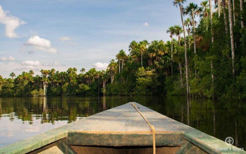 from-puerto-maldonado-jungle-trekking-sandoval-lake
