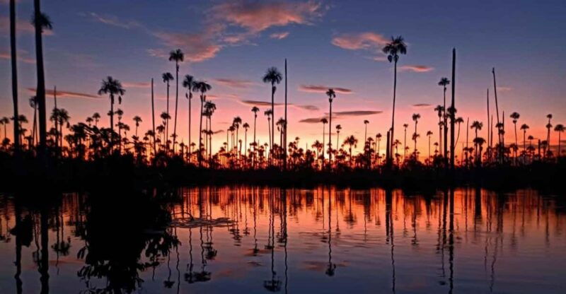 from-puerto-maldonado-sunset-boat-ride-for-3-hours-2