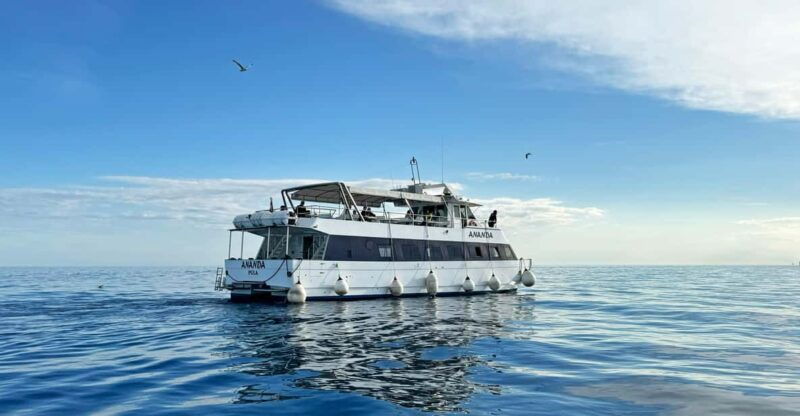 from-pula-rovinj-np-brijuni-cruise-with-red-island-visit