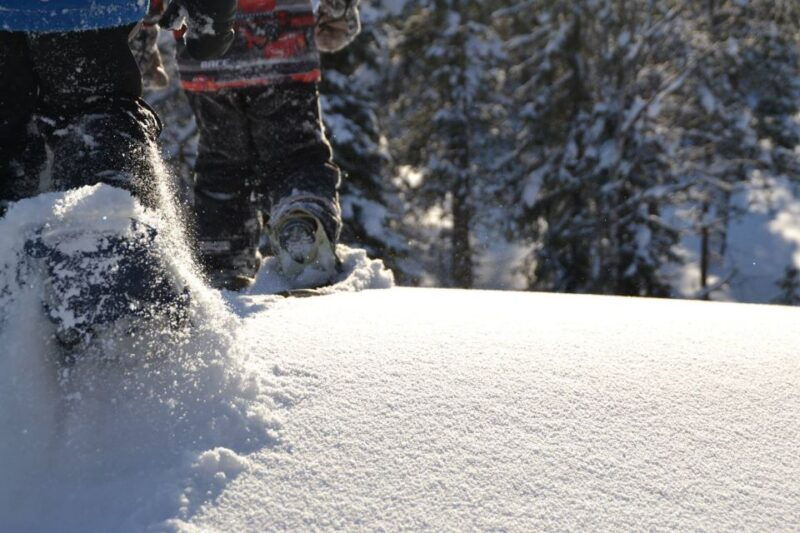 from-ruka-snowshoeing-in-oulanka-national-park