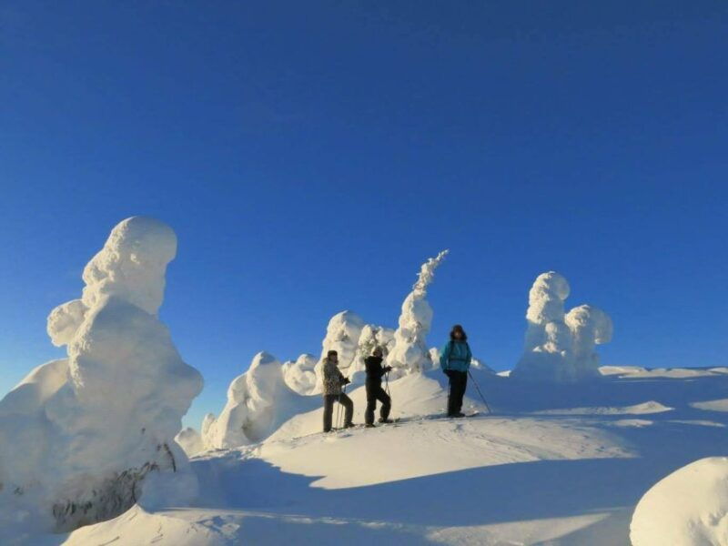 from-ruka-snowshoeing-in-riisitunturi-national-park