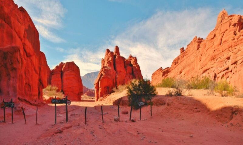 from-salta-cafayate-land-of-wines-and-imposing-ravines
