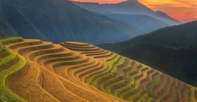 from-sapa-1-day-guided-trek-to-lao-chai-ta-van-with-lunch