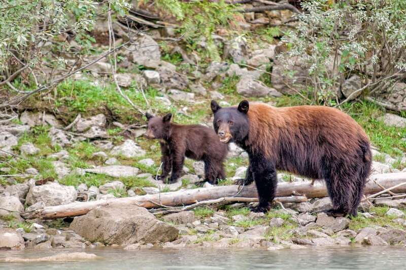 from-seattle-canadian-rockies-7-day-national-parks-tour-2