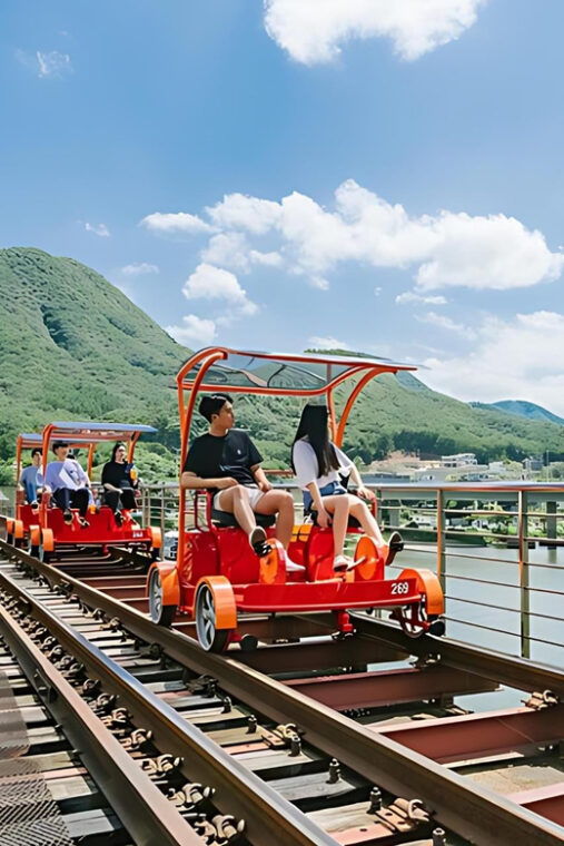 from-seoul-alpaca-farm-with-rail-bike-luge-racing