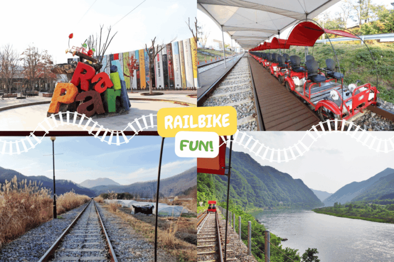 from-seoul-alpaca-farm-with-rail-bike-luge-racing