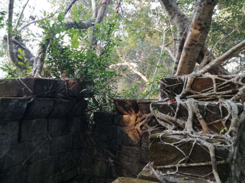 from-siem-reap-half-day-tour-to-beng-mealea-temple