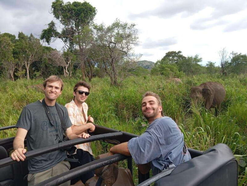 from-sigiriya-minneriya-national-park-half-day-jeep-safari