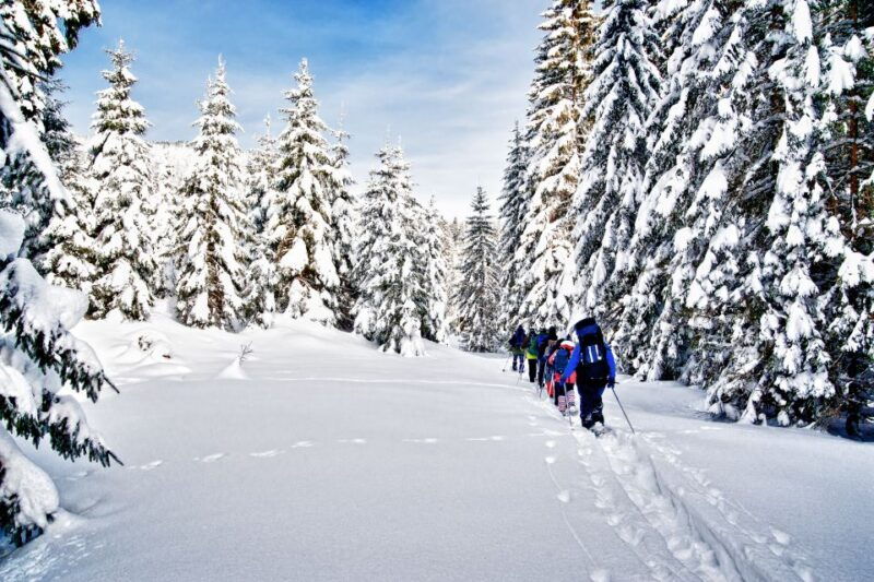 from-sirkka-levi-summit-guided-nature-snowshoeing-tour