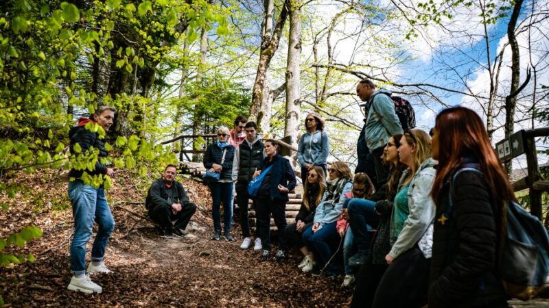 from-split-plitvice-lakes-guided-tour