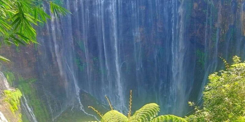 from-surabaya-malang-bromo-ijen-tumpaksewu-in-3-days
