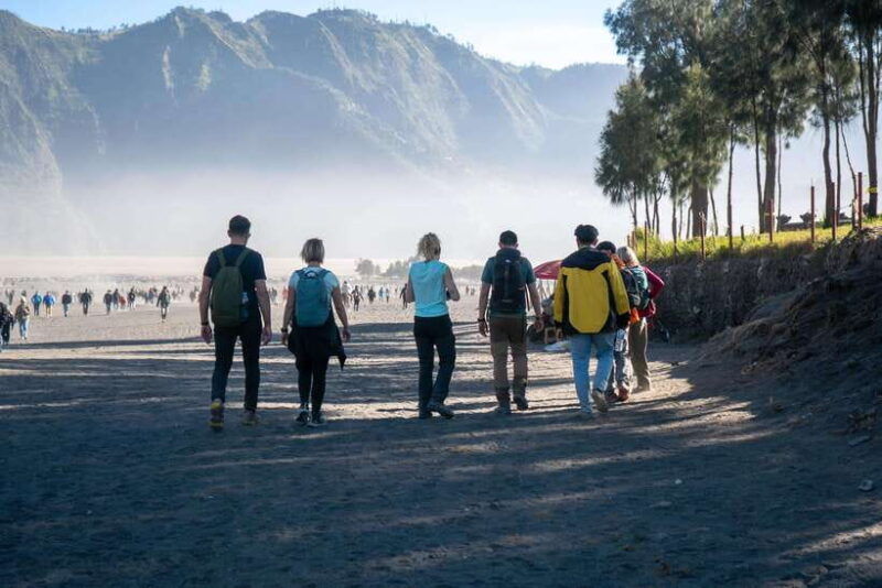 from-surabaya-or-malang-bromo-ijen-english-guide-tour