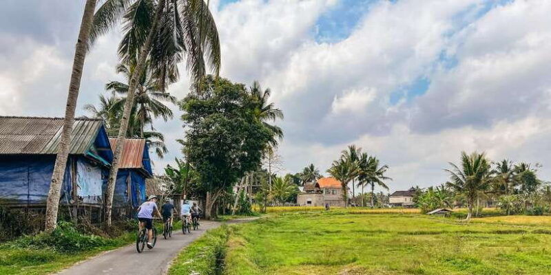 from-ubud-downhill-bike-tour-with-rice-terraces-and-meal