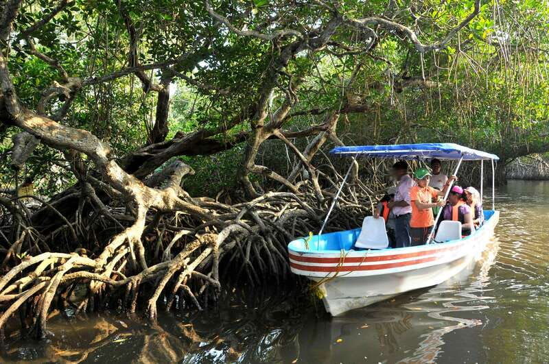 from-veracruz-nature-seafood-boat-tour-to-madinga