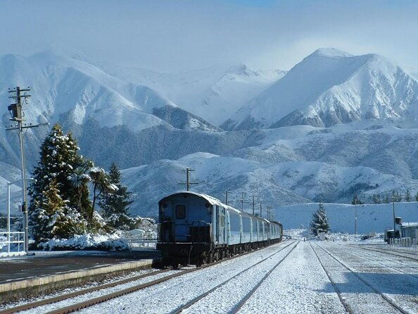 Full Day Arthurs Pass Tour with Tranzalpine Train in New Zealand - Key Points