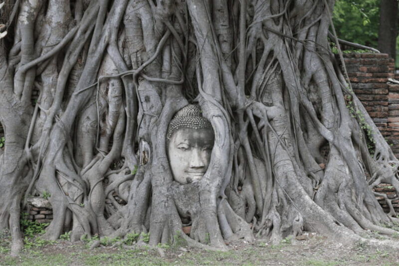 full-day-bangkok-ayutthaya-unesco-world-heritage-site