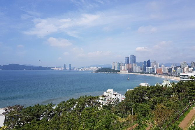 Full Day Busan Tour Including Haedong Yonggungsa Temple - Key Points  