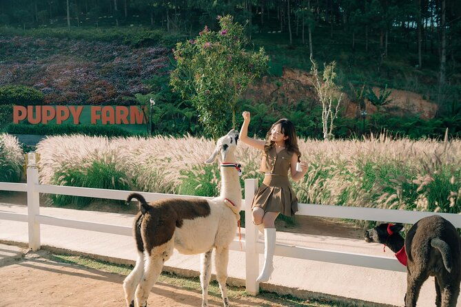 Full-Day Highlight of Da Lat The famous tourist attractions 2025 - Introduction