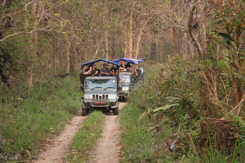 full-day-jeep-safari-in-chitwan-national-park