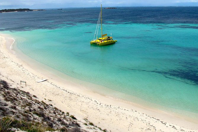 Full Day Sail to Rottnest Island from Fremantle - Key Points