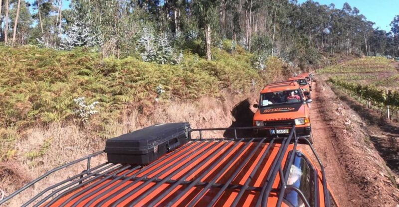 funchal-camara-lobos-girao-sea-cliff-half-day-jeep-tour