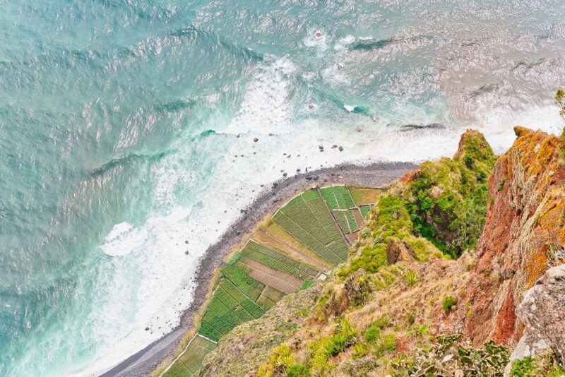 funchal-dolphin-and-whale-watching-sailing-trip