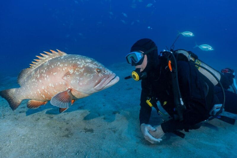 funchal-garajau-national-park-certified-divers