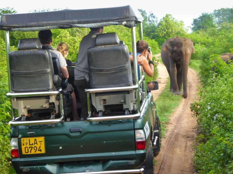 galle-all-inclusive-morning-leopard-safari-in-yala-private