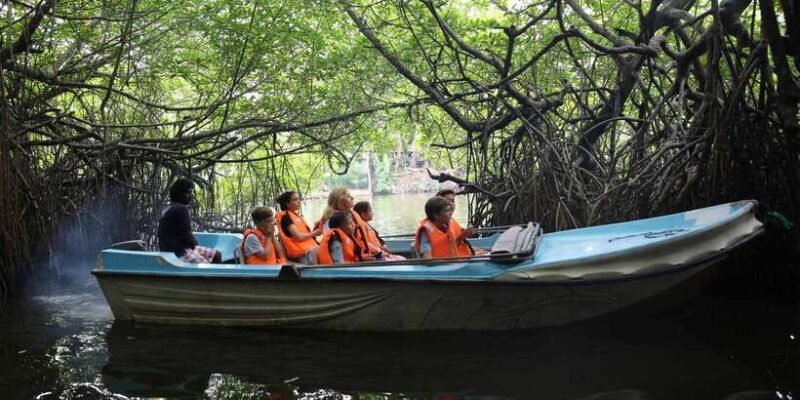 galle-and-bentota-day-tour-from-colombo