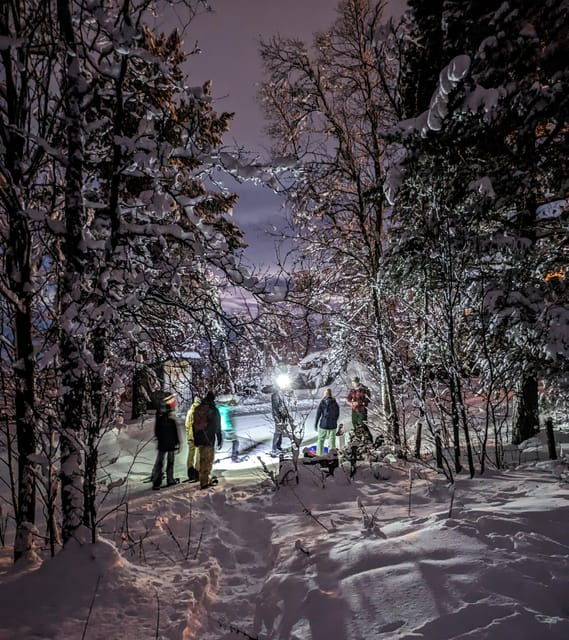 geilo-evening-family-tour-with-sledge-campfire-and-fun