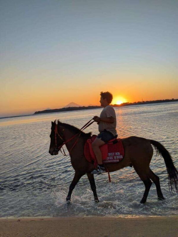 gili-air-1-hour-horseback-riding-with-hotel-transfer