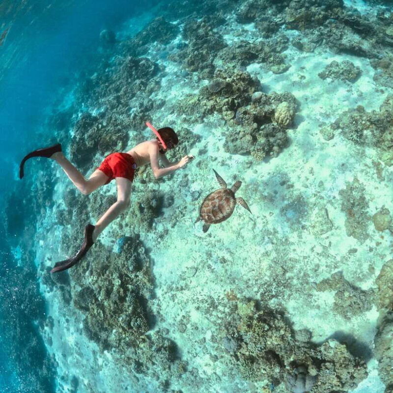 gili-islands-private-or-shared-snorkeling-boat-trip