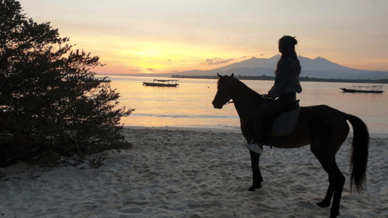 gili-meno-1-hour-horse-riding-adventure