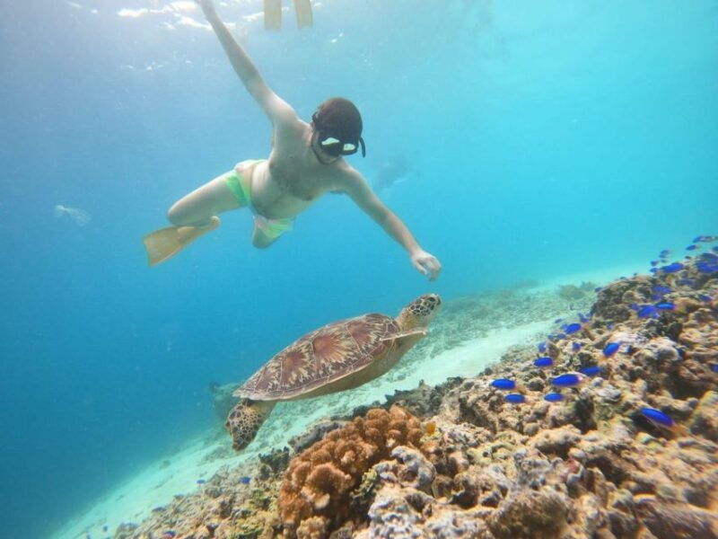 gili-t-island-gili-snorkeling-day-trip-swim-with-turtles