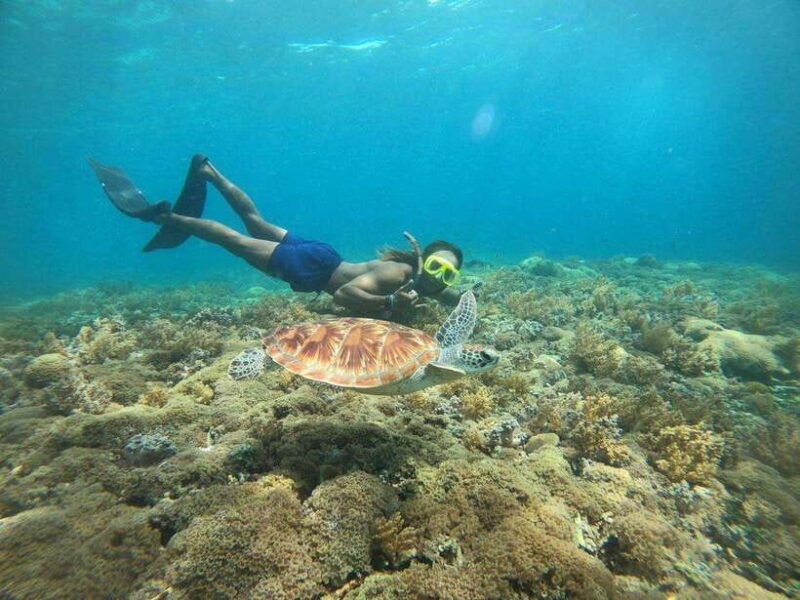 gili-t-shared-group-snorkeling-trip